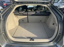 
										Honda Insight 2010 full									